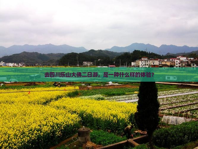 去四川乐山大佛二日游，是一种什么样的体验？