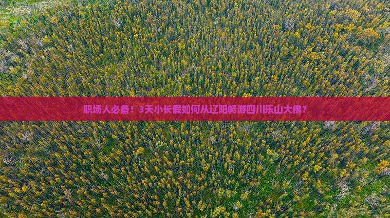 职场人必备！3天小长假如何从辽阳畅游四川乐山大佛？