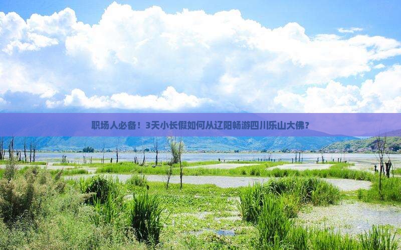职场人必备！3天小长假如何从辽阳畅游四川乐山大佛？