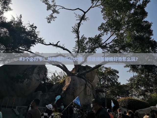 #3个必打卡！从海西到乐山大佛，沿途绝美秘境好奇怎么玩？