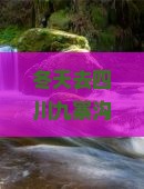 冬天去四川九寨沟旅游好吗？冬天去九寨沟旅游攻略