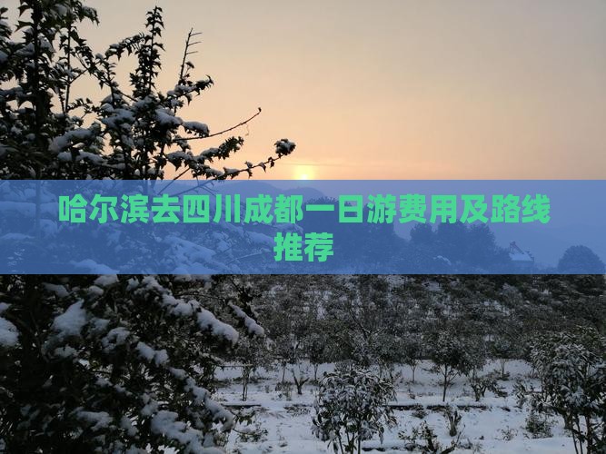 哈尔滨去四川成都一日游费用及路线推荐