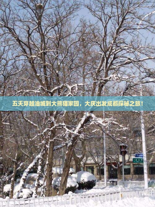 五天穿越油城到大熊猫家园，大庆出发成都探秘之旅！