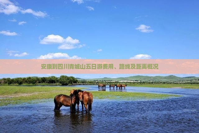 安康到四川青城山五日游费用、路线及距离概况
