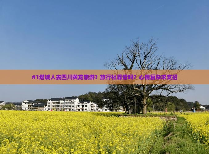 #1塔城人去四川黄龙旅游？旅行社靠谱吗？心情复杂求支招