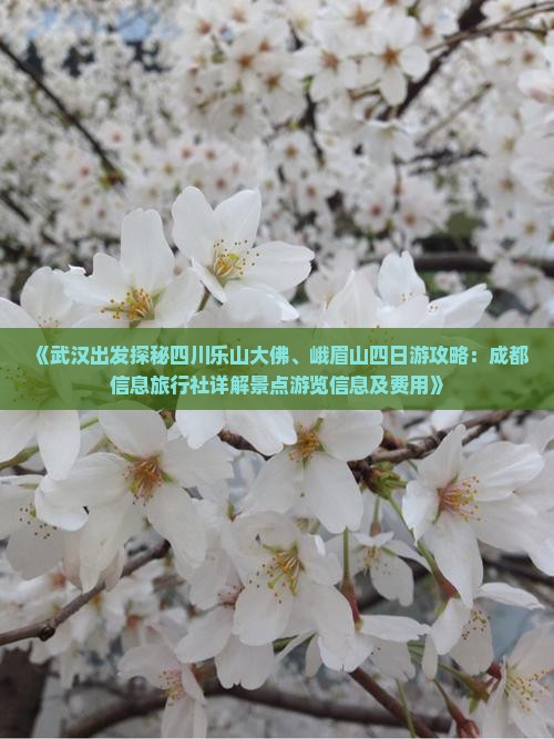 《武汉出发探秘四川乐山大佛、峨眉山四日游攻略：成都信息旅行社详解景点游览信息及费用》