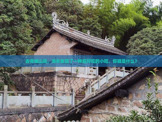 去青城山玩，海东发现了一种超好吃的小吃，你猜是什么？