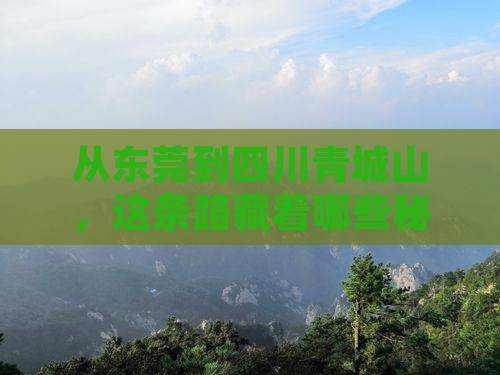 从东莞到四川青城山，这条路藏着哪些秘密？