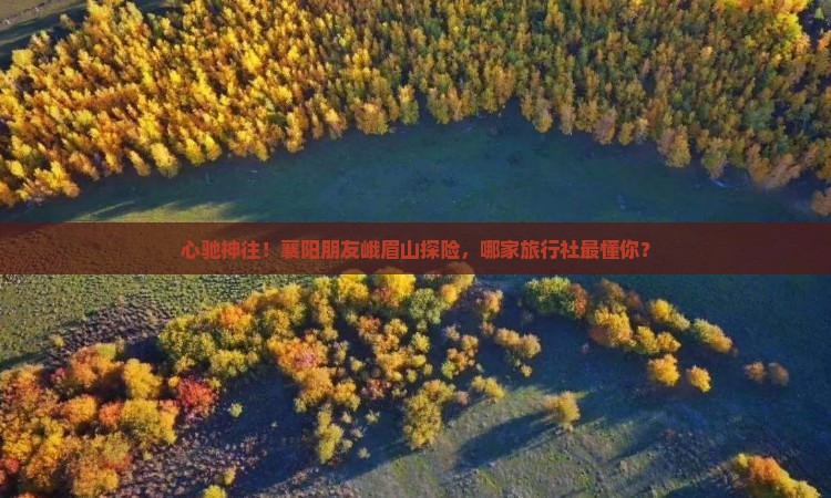 心驰神往！襄阳朋友峨眉山探险，哪家旅行社最懂你？