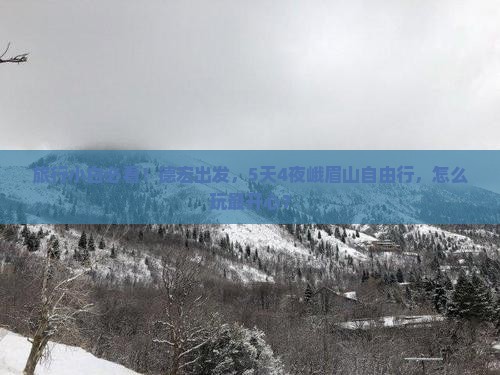 旅行小白必看！德宏出发，5天4夜峨眉山自由行，怎么玩最开心？