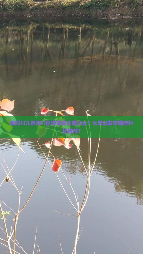 去四川九寨沟六日游需要注意什么？大庆出发有哪些行程推荐？