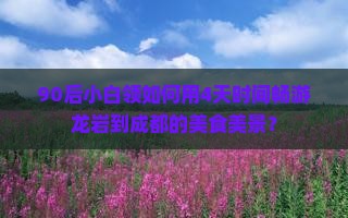 90后小白领如何用4天时间畅游龙岩到成都的美食美景？