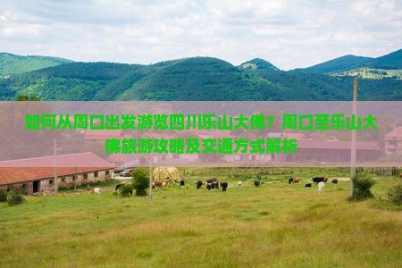 如何从周口出发游览四川乐山大佛？周口至乐山大佛旅游攻略及交通方式解析