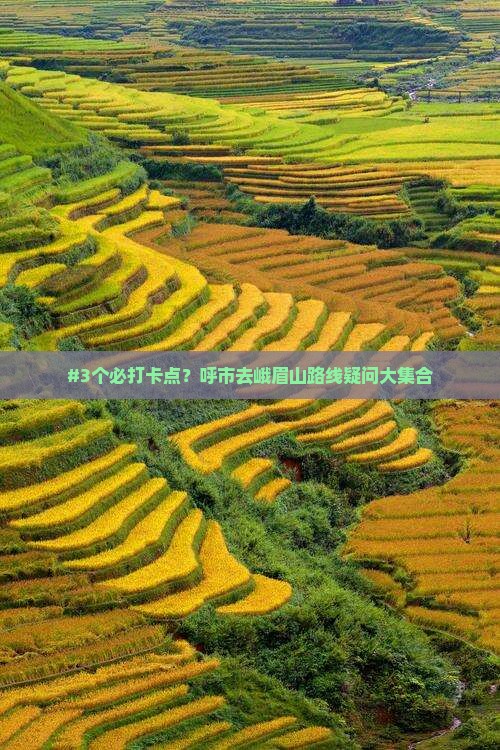#3个必打卡点？呼市去峨眉山路线疑问大集合