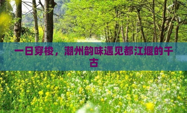 一日穿梭，潮州韵味遇见都江堰的千古