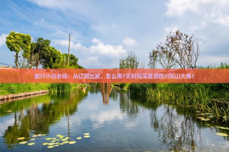 旅行小白必问：从辽阳出发，怎么用7天时间深度游四川乐山大佛？