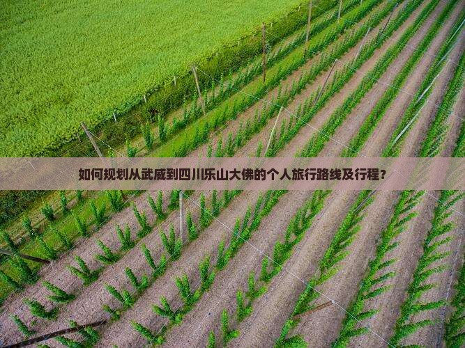如何规划从武威到四川乐山大佛的个人旅行路线及行程？