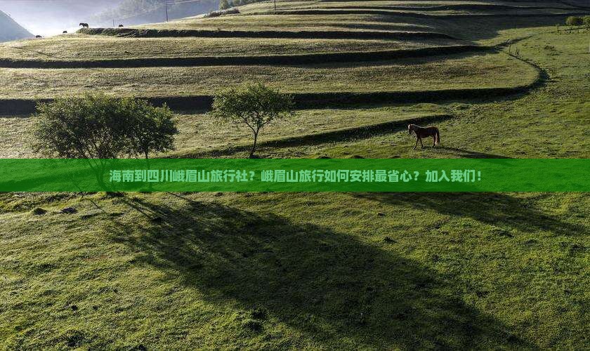 海南到四川峨眉山旅行社？峨眉山旅行如何安排最省心？加入我们！