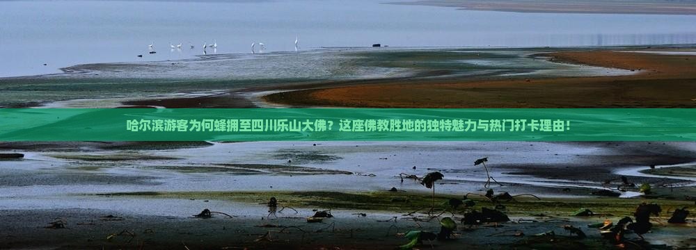 哈尔滨游客为何蜂拥至四川乐山大佛？这座佛教胜地的独特魅力与热门打卡理由！