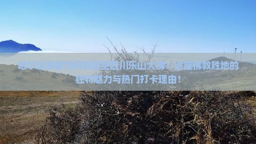 哈尔滨游客为何蜂拥至四川乐山大佛？这座佛教胜地的独特魅力与热门打卡理由！