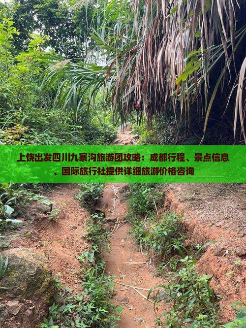 上饶出发四川九寨沟旅游团攻略：成都行程、景点信息、国际旅行社提供详细旅游价格咨询