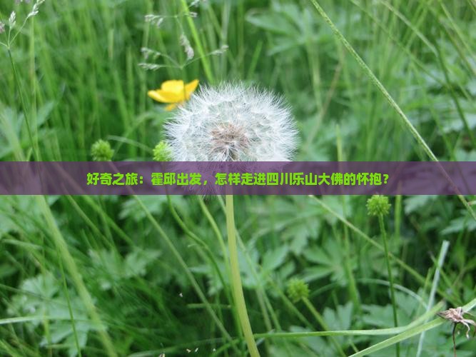 好奇之旅:霍邱出发,怎样走进四川乐山大佛的怀抱? 好奇之旅:霍邱出发,怎样走进四川乐山大佛的怀抱?