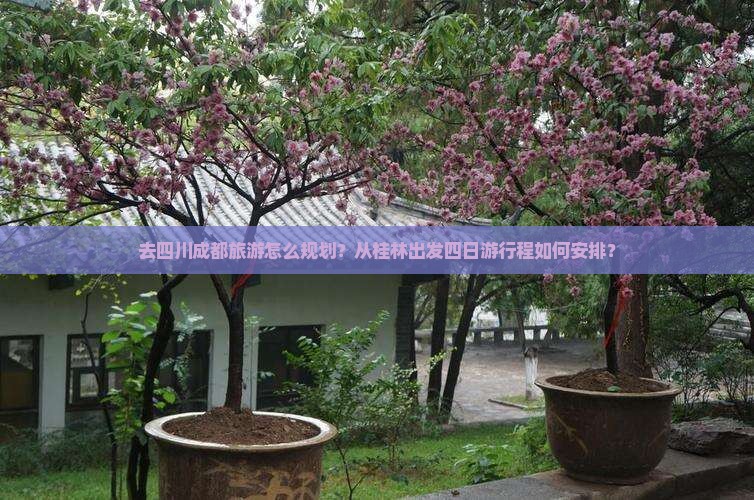 去四川成都旅游怎么规划？从桂林出发四日游行程如何安排？
