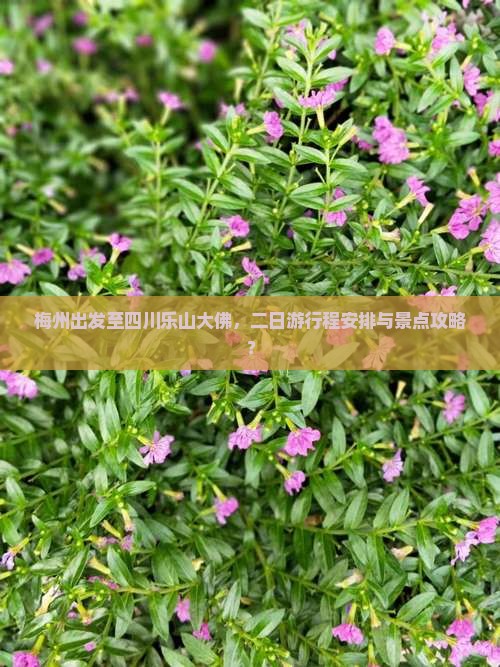 梅州出发至四川乐山大佛，二日游行程安排与景点攻略？