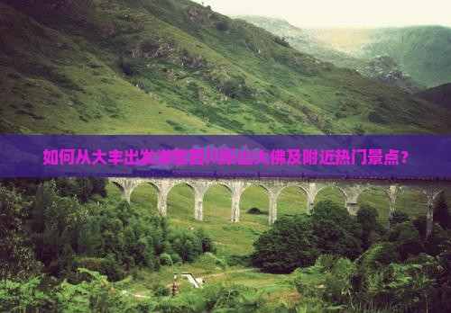 如何从大丰出发游览四川乐山大佛及附近热门景点？