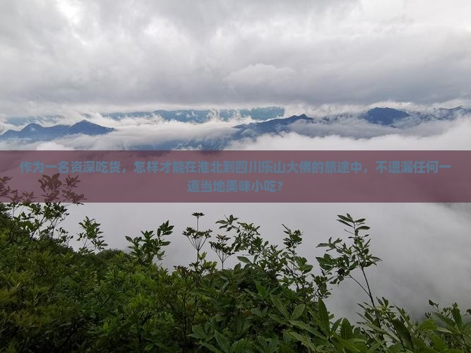 作为一名资深吃货，怎样才能在淮北到四川乐山大佛的旅途中，不遗漏任何一道当地美味小吃？