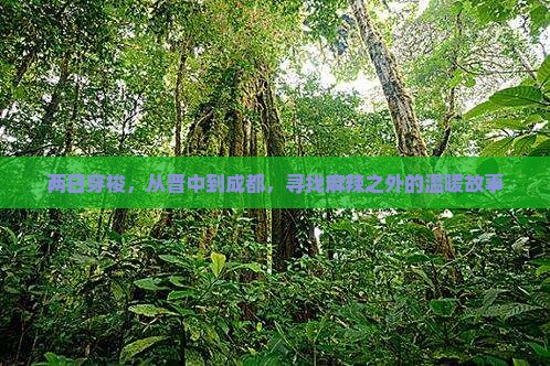 两日穿梭，从晋中到成都，寻找麻辣之外的温暖故事