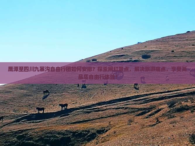 鹰潭至四川九寨沟自由行团如何安排？探索网红景点，解决旅游痛点，享受高品质自由行体验！