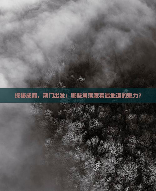 探秘成都，荆门出发：哪些角落藏着最地道的魅力？