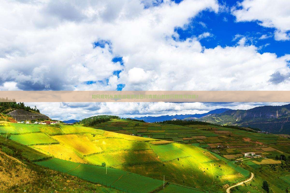 如何规划从海东出发前往四川青城山的旅行路线与攻略？