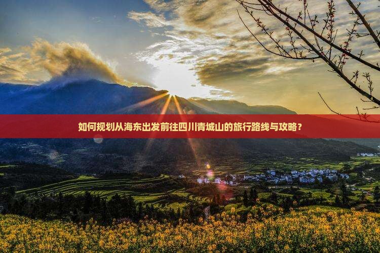 如何规划从海东出发前往四川青城山的旅行路线与攻略？