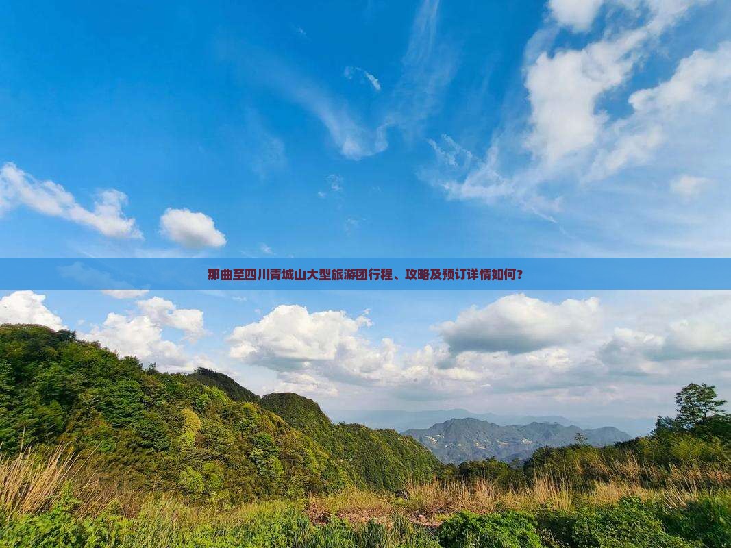 那曲至四川青城山大型旅游团行程、攻略及预订详情如何？