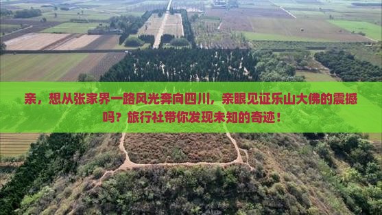 亲，想从张家界一路风光奔向四川，亲眼见证乐山大佛的震撼吗？旅行社带你发现未知的奇迹！