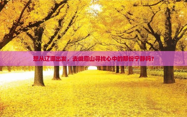 想从辽源出发，去峨眉山寻找心中的那份宁静吗？