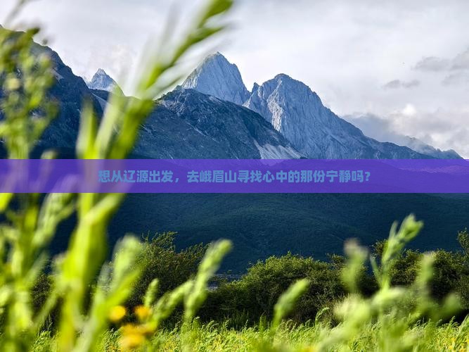 想从辽源出发，去峨眉山寻找心中的那份宁静吗？