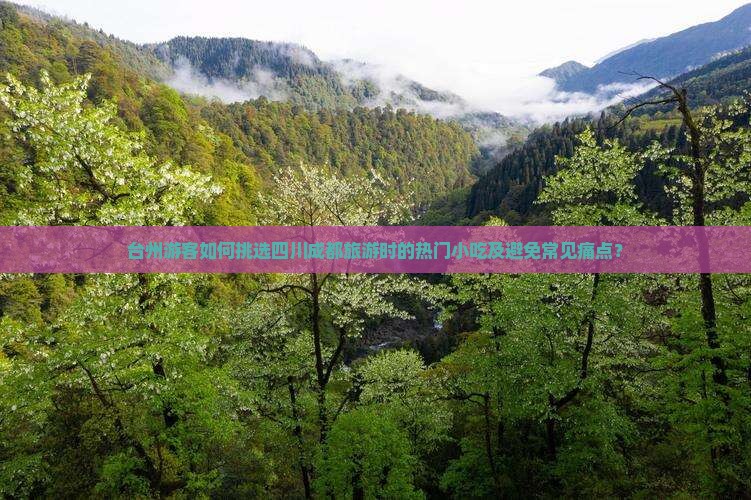 台州游客如何挑选四川成都旅游时的热门小吃及避免常见痛点？