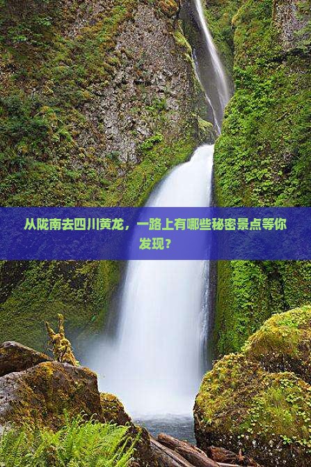 从陇南去四川黄龙，一路上有哪些秘密景点等你发现？