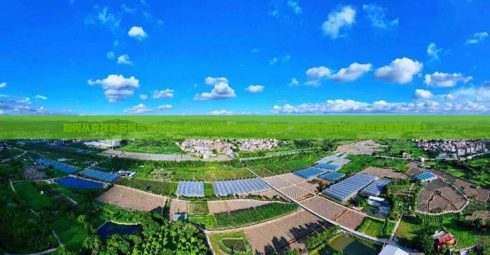 如何从克孜勒苏柯尔克孜自治区出发到四川峨眉山旅游？有哪些旅行社提供这条线路服务？