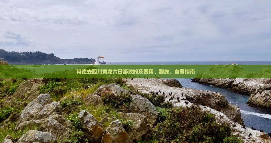 常德去四川黄龙六日游攻略及费用、路线、自驾指南