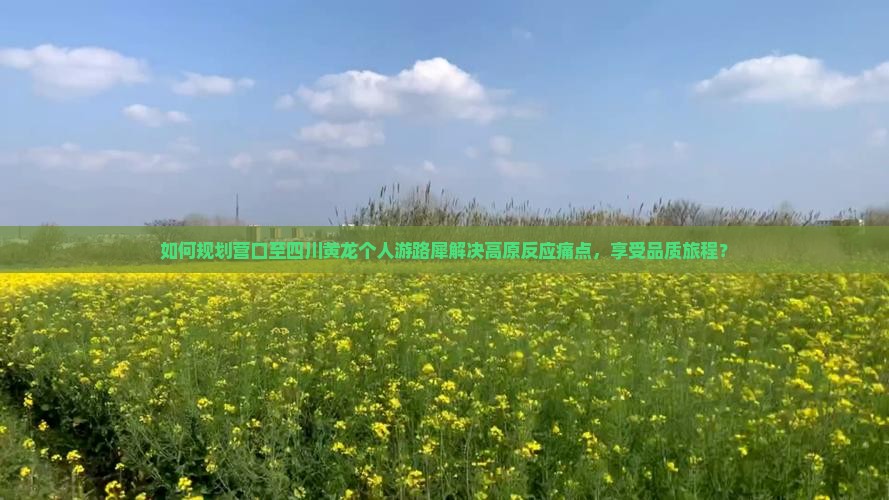 如何规划营口至四川黄龙个人游路犀解决高原反应痛点，享受品质旅程？
