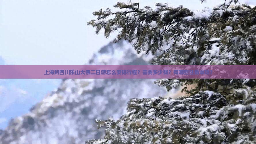 上海到四川乐山大佛二日游怎么安排行程？需要多少钱？有哪些注意事项？