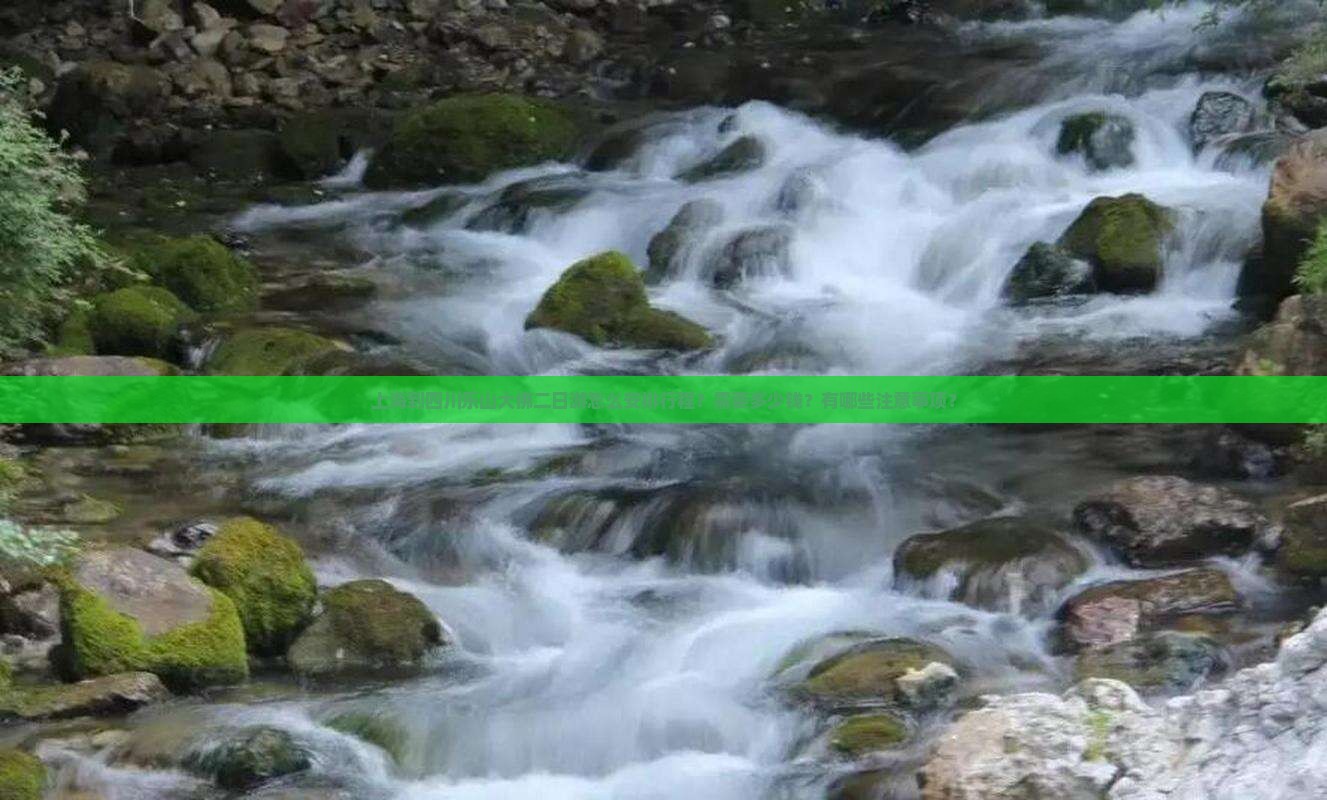 上海到四川乐山大佛二日游怎么安排行程？需要多少钱？有哪些注意事项？