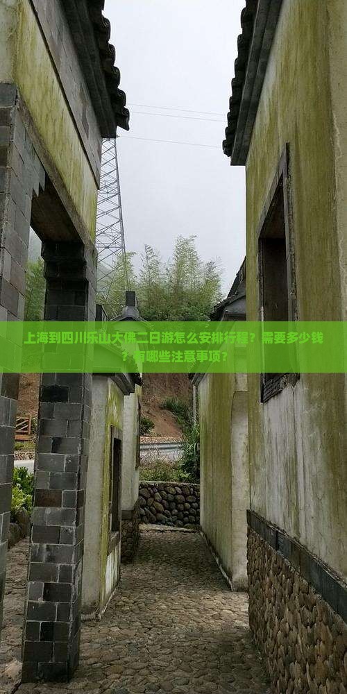 上海到四川乐山大佛二日游怎么安排行程？需要多少钱？有哪些注意事项？