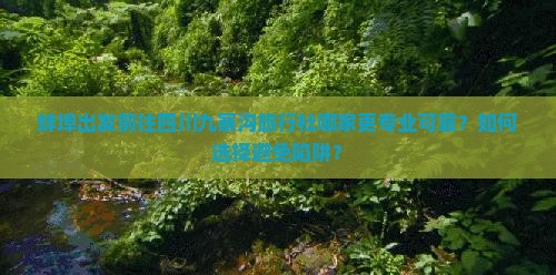 蚌埠出发前往四川九寨沟旅行社哪家更专业可靠？如何选择避免陷阱？