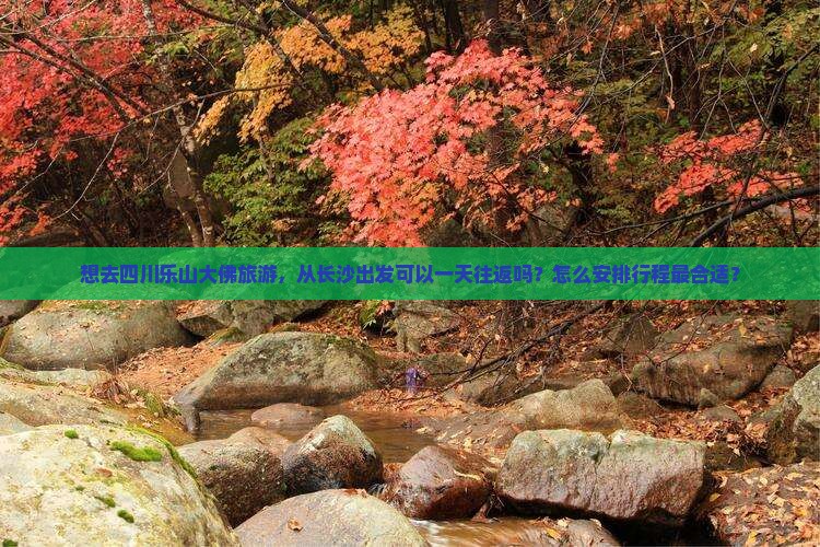 想去四川乐山大佛旅游，从长沙出发可以一天往返吗？怎么安排行程最合适？