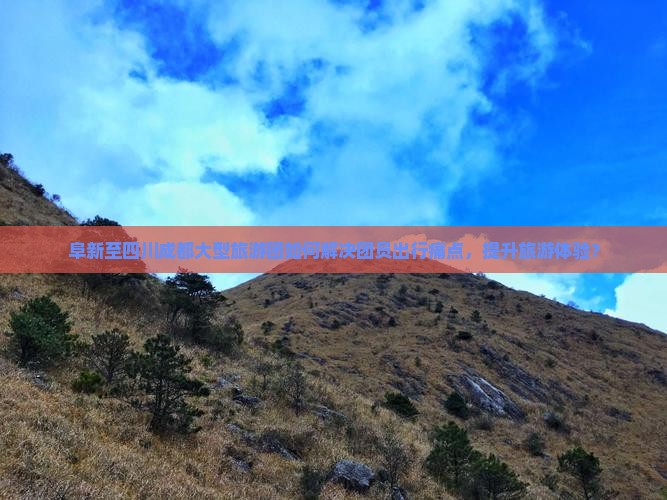 阜新至四川成都大型旅游团如何解决团员出行痛点，提升旅游体验？